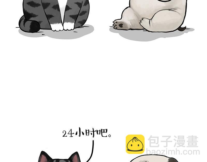 第392话 真相了41