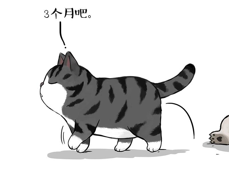 第392话 真相了47
