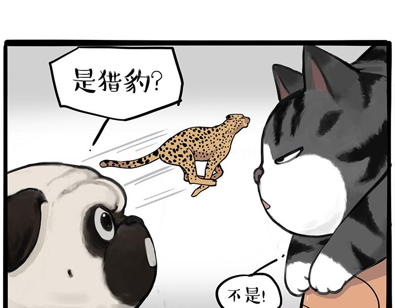 第392话 真相了57