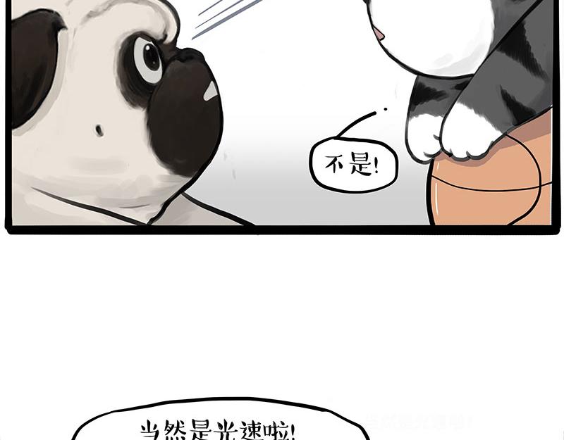 第392话 真相了59