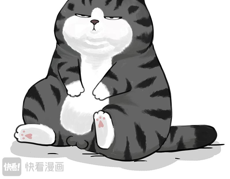 第392话 真相了6