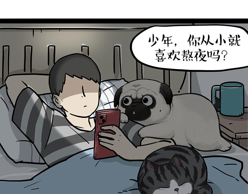 第395话 流星灵得很0