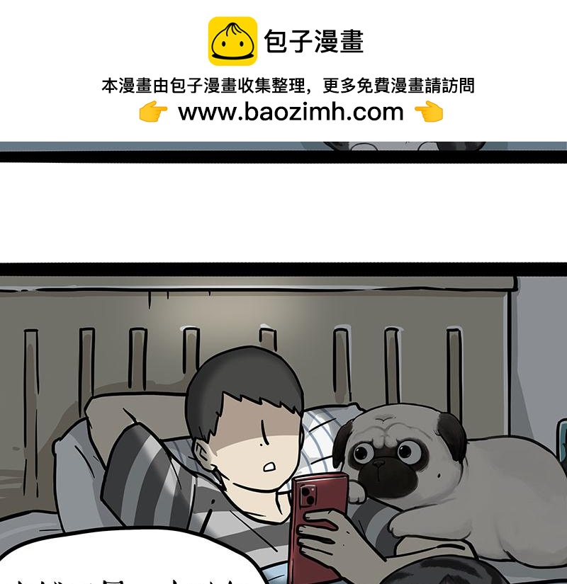 第395话 流星灵得很1