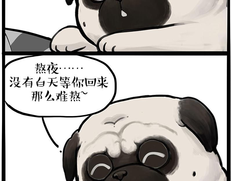 第395话 流星灵得很10