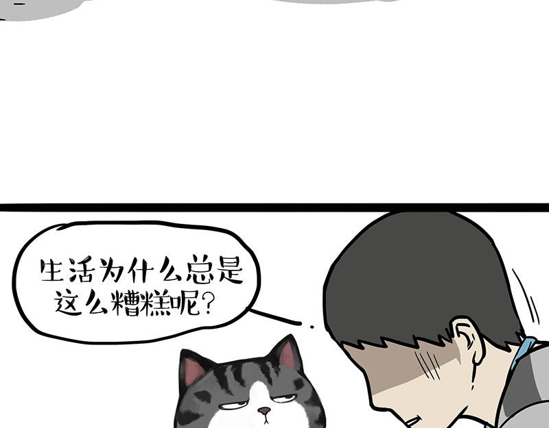 第395话 流星灵得很15