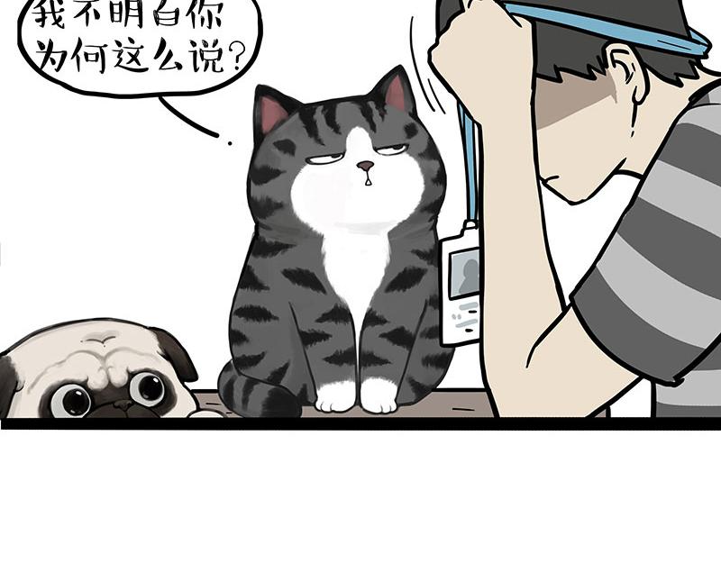 第395话 流星灵得很17