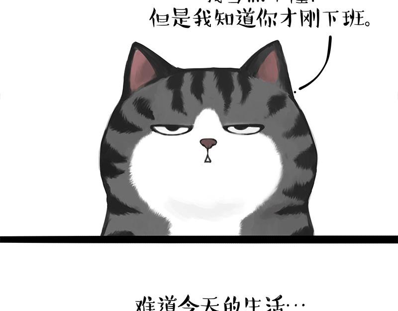 第395话 流星灵得很20