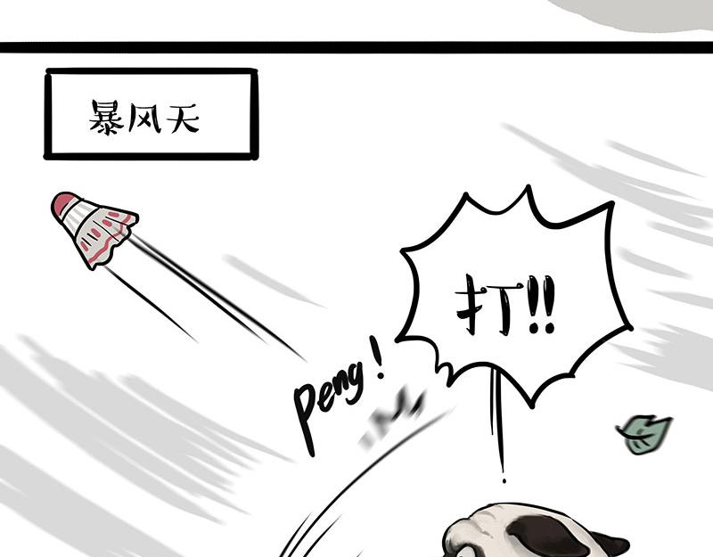 第395话 流星灵得很30