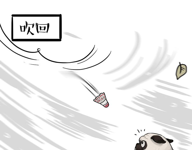 第395话 流星灵得很32
