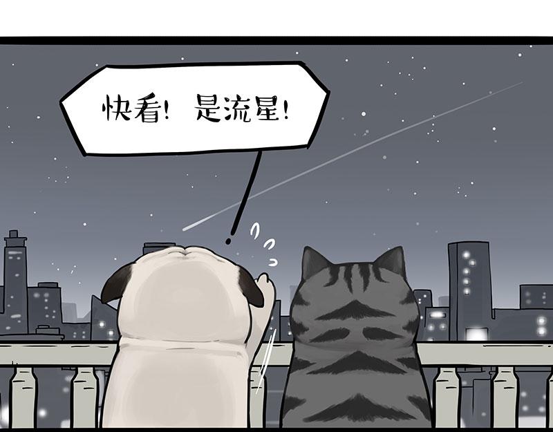 第395话 流星灵得很38