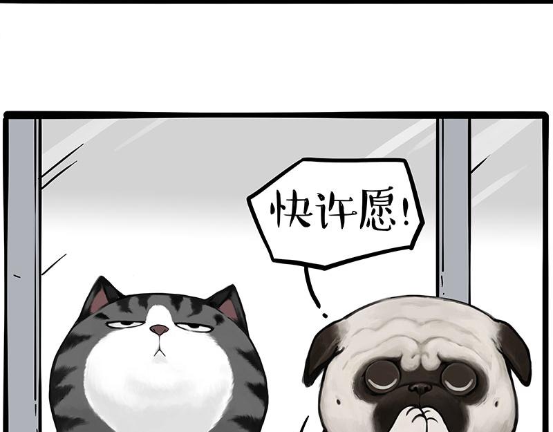 第395话 流星灵得很39