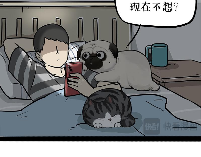 第395话 流星灵得很4