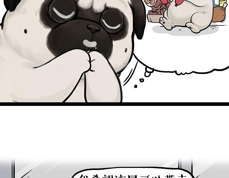 第395话 流星灵得很41