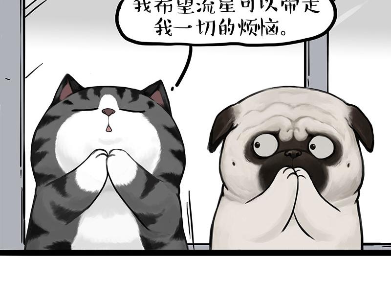 第395话 流星灵得很42
