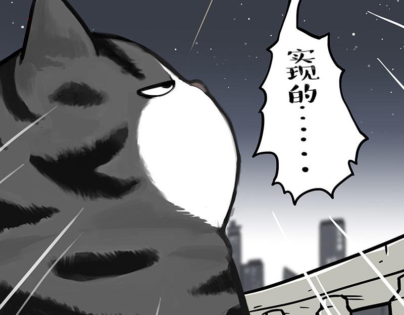 第395话 流星灵得很48