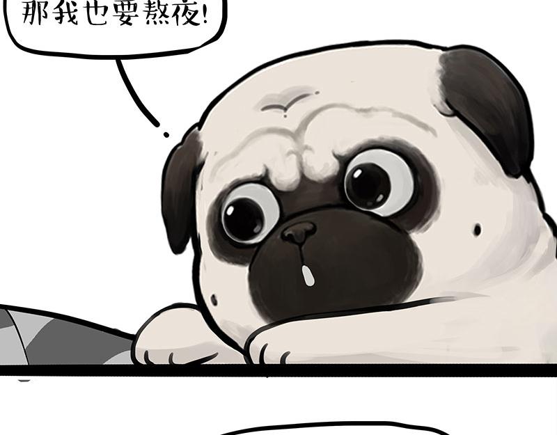 第395话 流星灵得很7