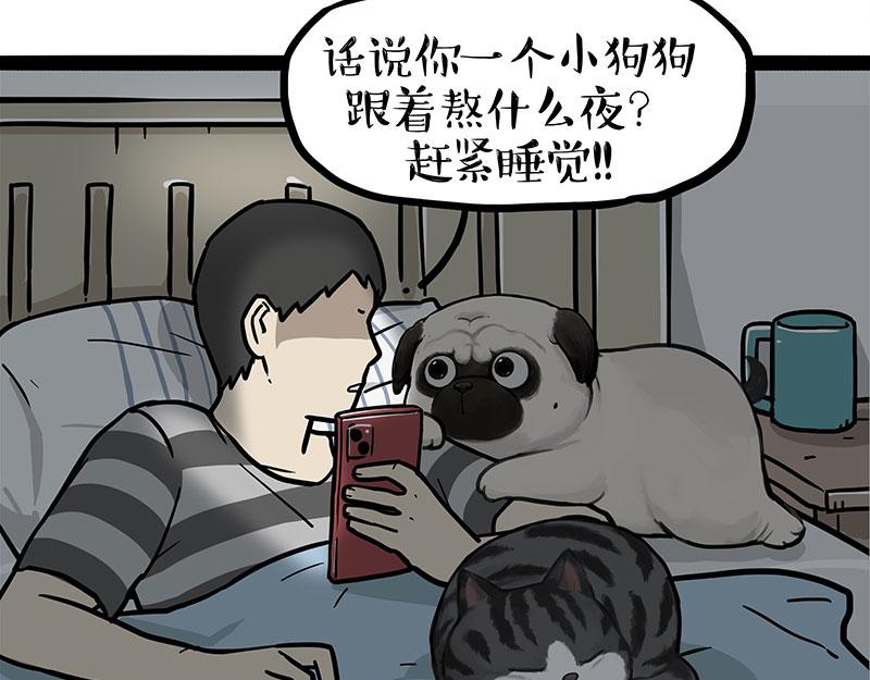 第395话 流星灵得很8