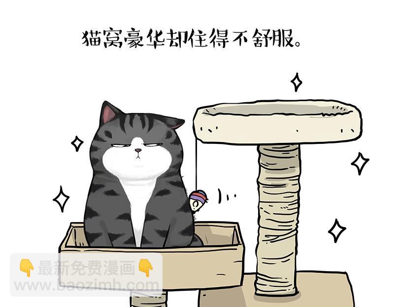 第398话 相爱相“坑”7
