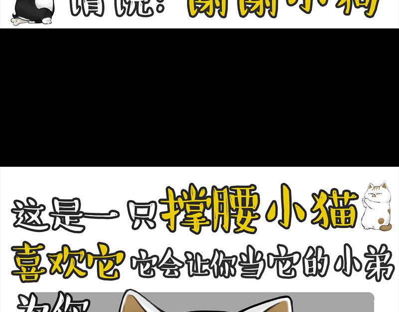 第399话 NPC20