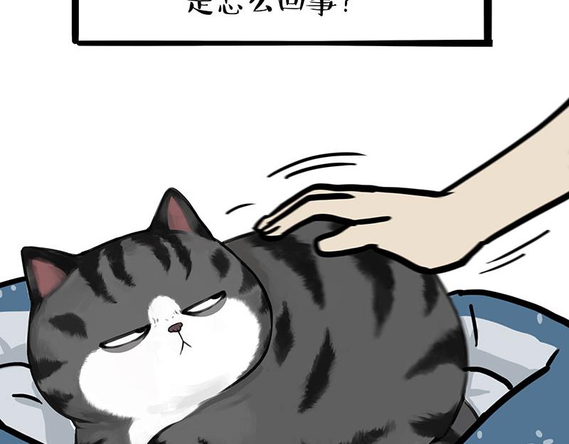 第399话 NPC9
