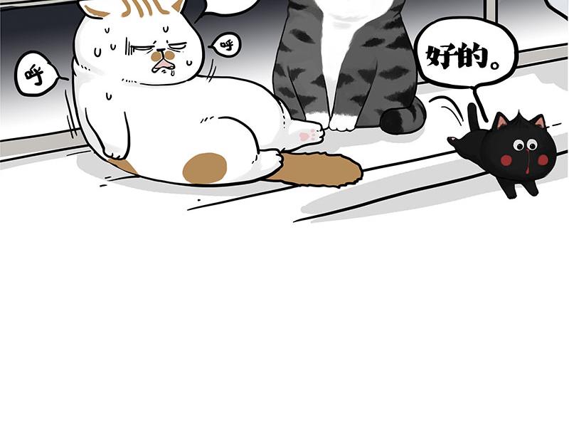第401话 傲霸你没事吧？29
