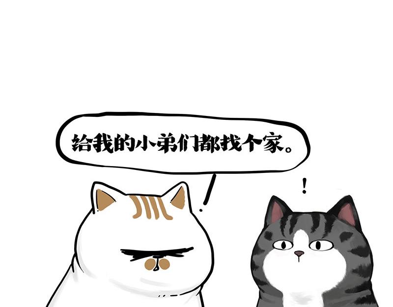 第401话 傲霸你没事吧？43