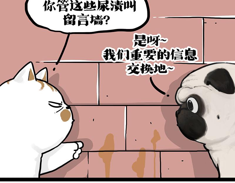第404话 寻家计划1：啸天101