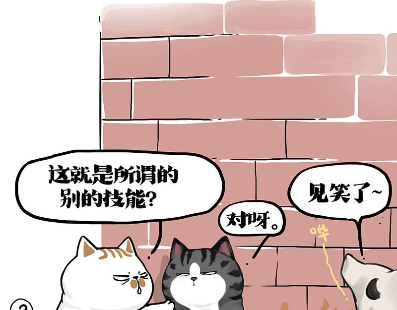 第404话 寻家计划1：啸天108