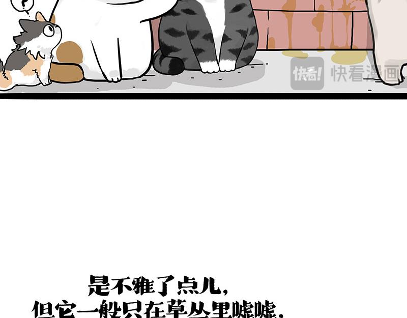 第404话 寻家计划1：啸天109