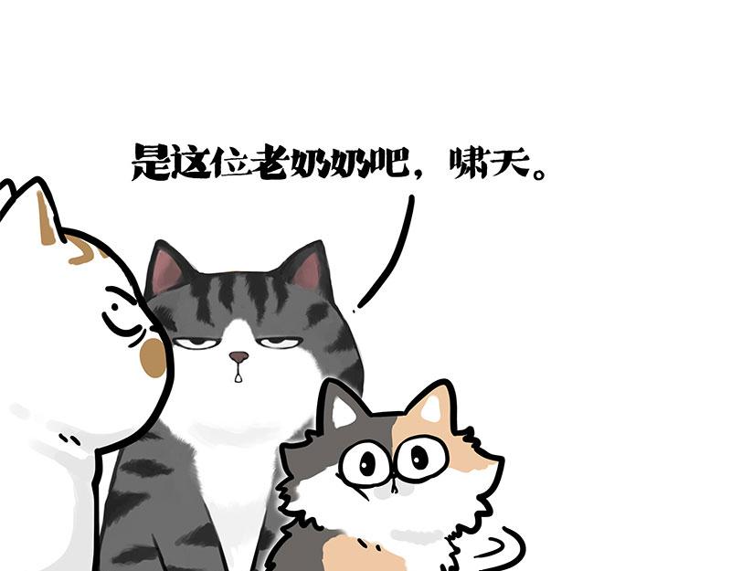 第404话 寻家计划1：啸天114