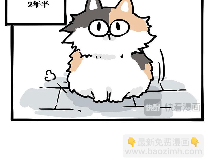 第404话 寻家计划1：啸天12