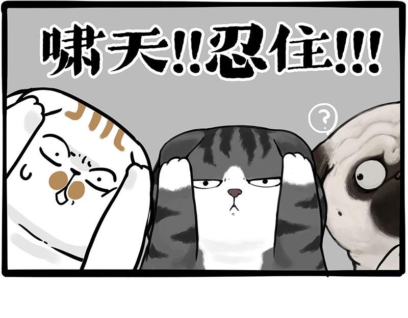 第404话 寻家计划1：啸天128