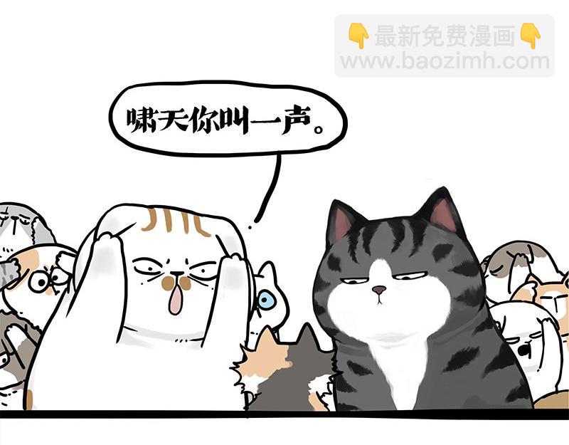 第404话 寻家计划1：啸天13