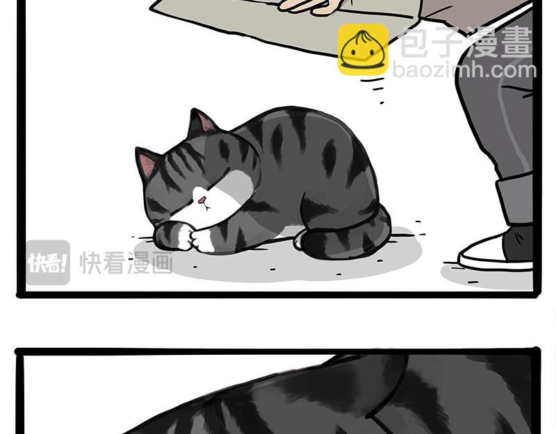 第404话 寻家计划1：啸天165
