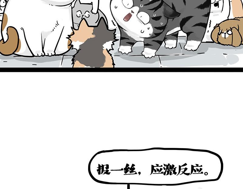 第404话 寻家计划1：啸天21