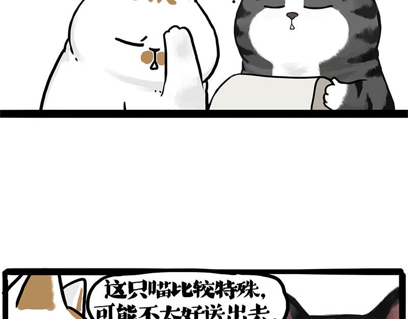 第404话 寻家计划1：啸天7