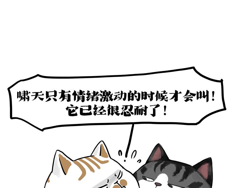 第404话 寻家计划1：啸天78