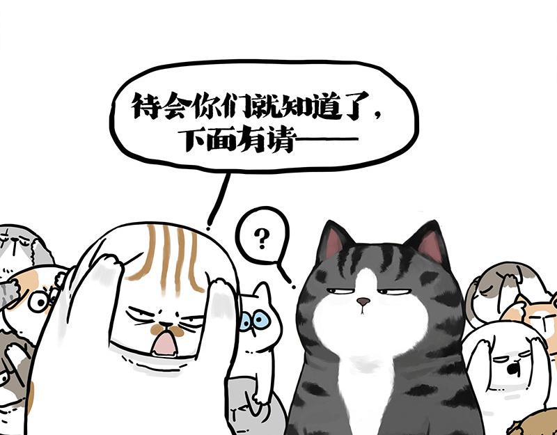 第404话 寻家计划1：啸天9