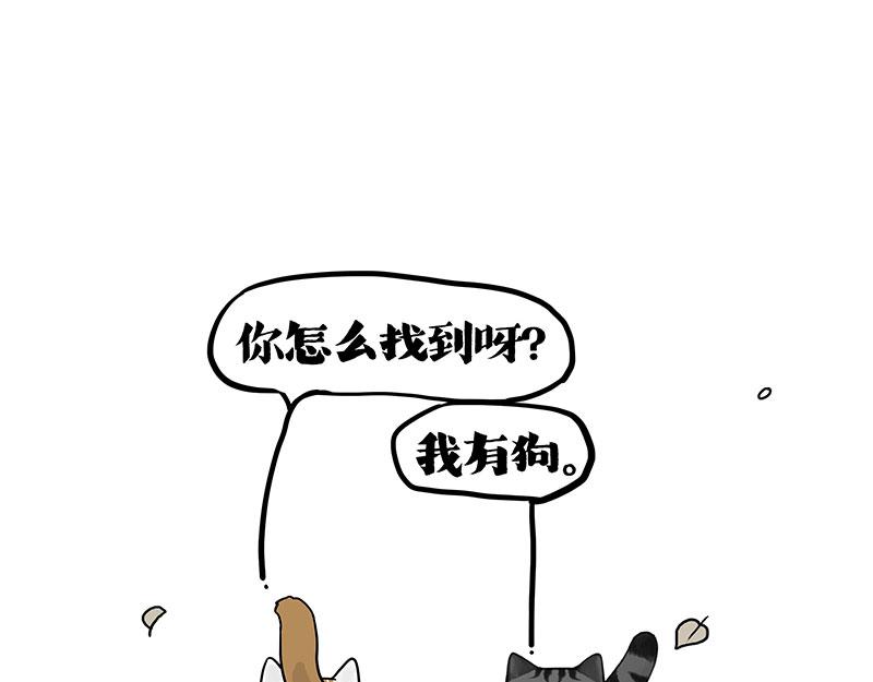 第404话 寻家计划1：啸天92