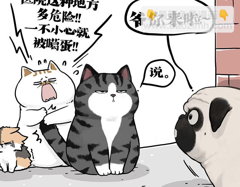 第404话 寻家计划1：啸天97