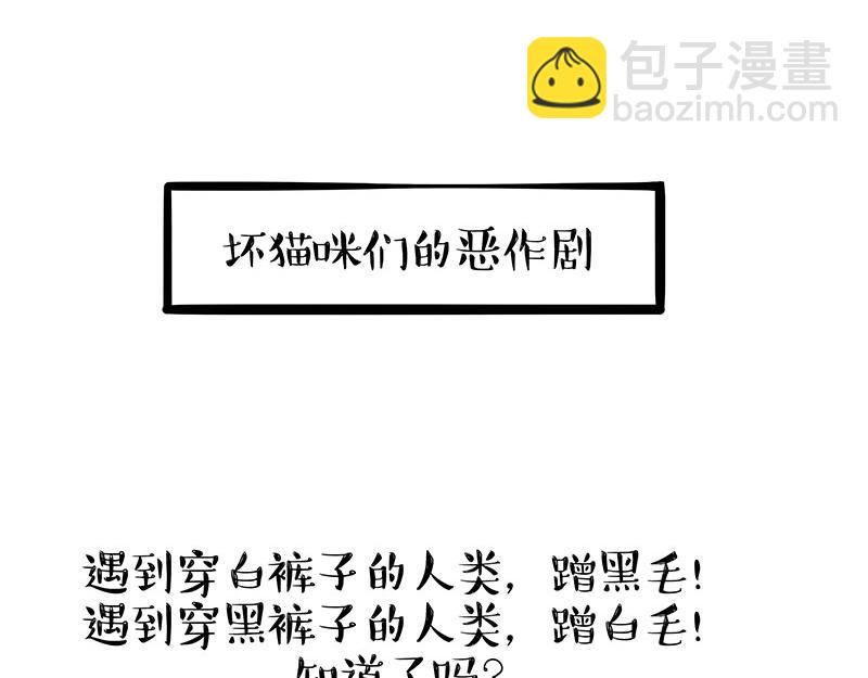 第405话 猫好狗好，人坏24