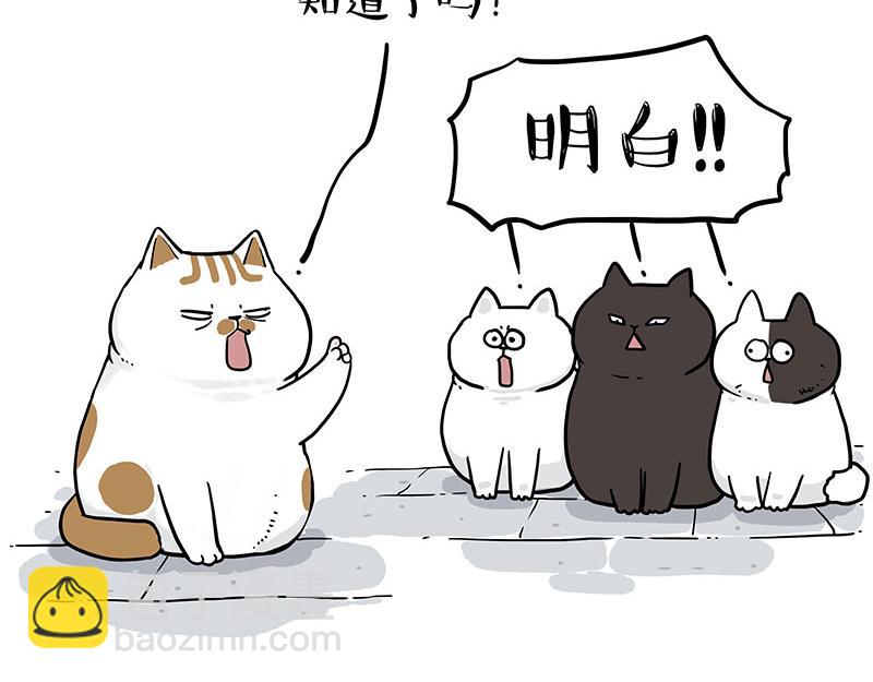 第405话 猫好狗好，人坏25