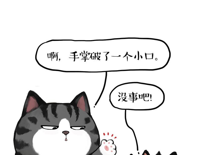 第405话 猫好狗好，人坏27