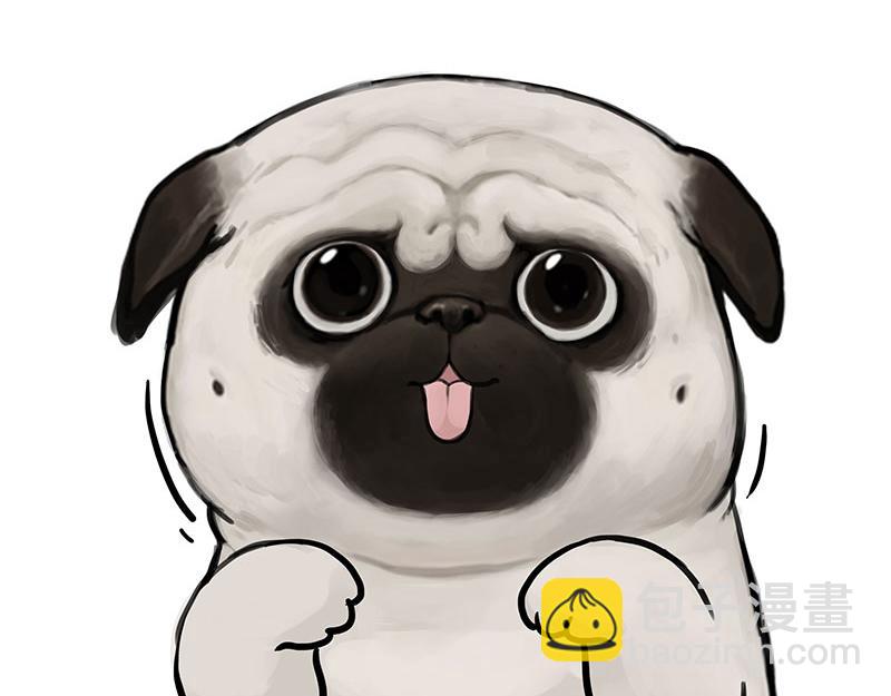 第405话 猫好狗好，人坏5