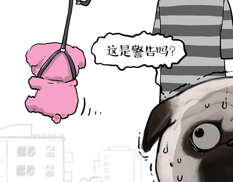 第405话 猫好狗好，人坏7