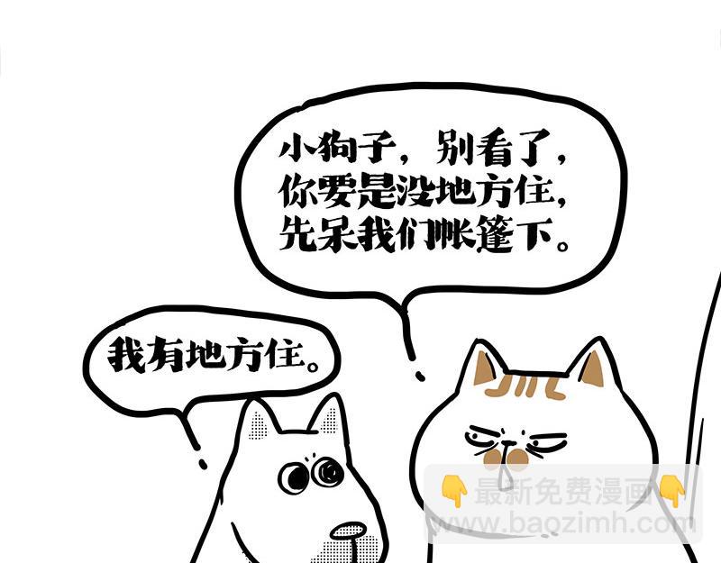 第406话 小狗心事（上）118