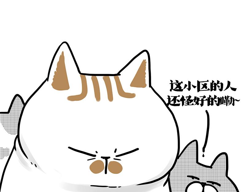 第406话 小狗心事（上）50