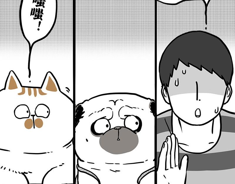 第406话 小狗心事（上）71