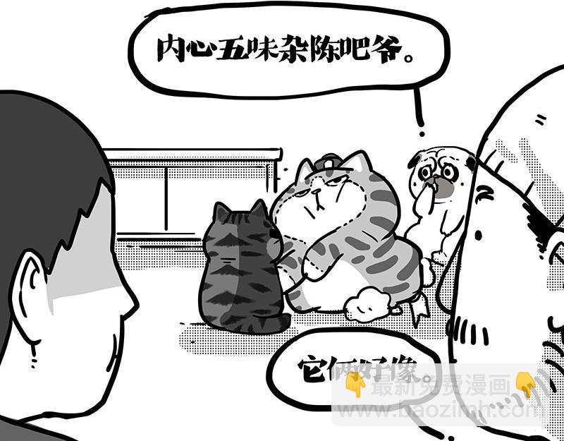 第408话 小狗心事（下）18