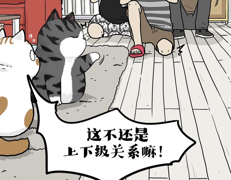 第409话 吾皇改名了？33